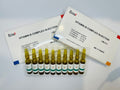 Vitamin B Complex 2ml x 10 image 0